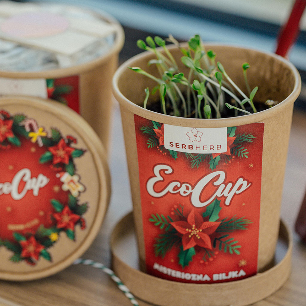 novogodisnji eco cup 2