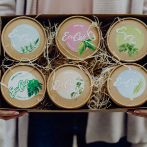 eco box 2