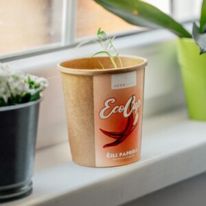 Čili paprika – slika 3 | SerbHerb