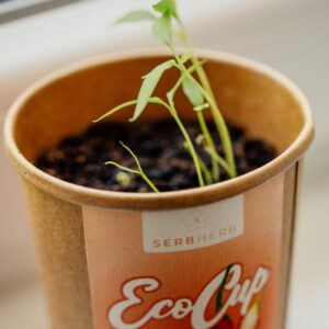 eco cup cili