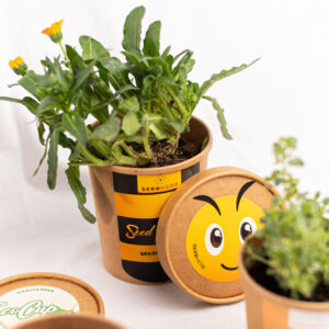 eco cup seed bomb