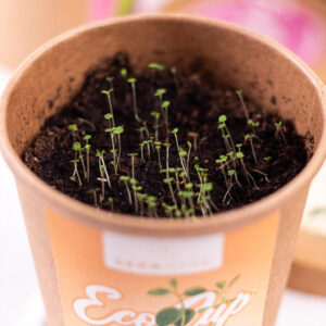 eco cup origano