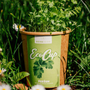 eco cup persun